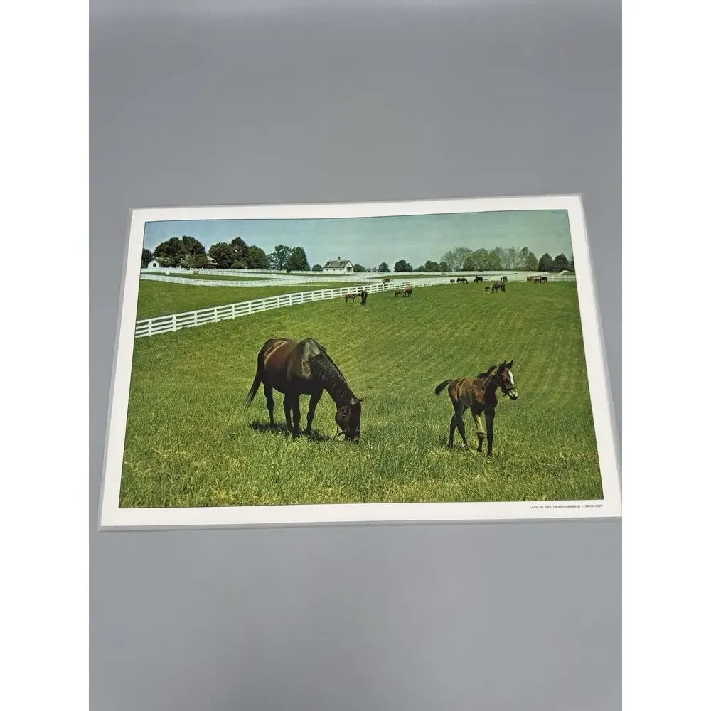 Vintage Scenic Kentucky‎ Vinyl Placemats Set Of 6 READ DETAILS